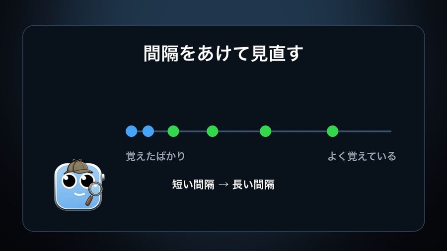 A review timeline with short gaps just after learning and long gaps once a word is well known, with the app's detective mascot