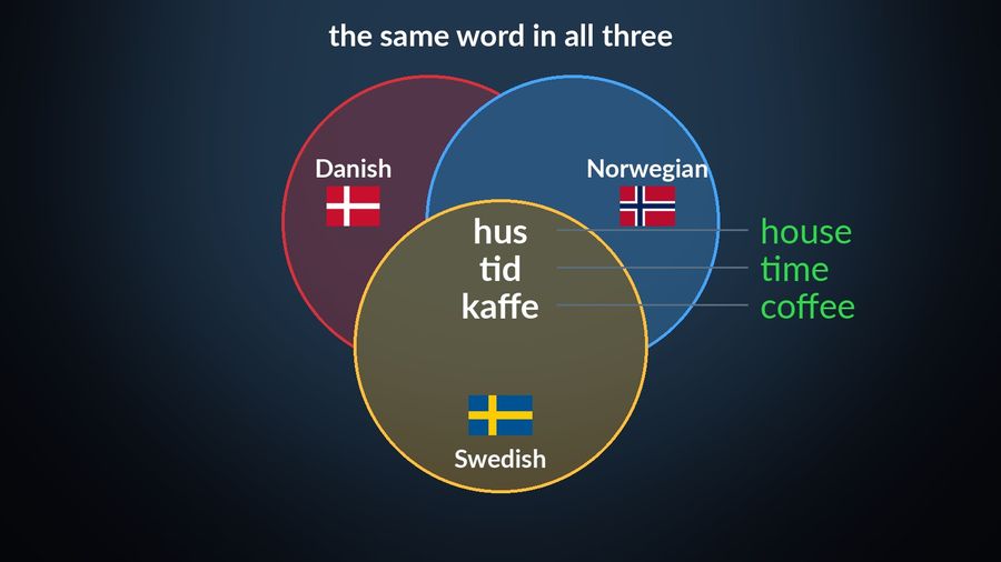 Three overlapping circles for Danish, Norwegian and Swedish, each with its flag; in the middle where all three overlap sit hus (house), tid (time) and kaffe (coffee)