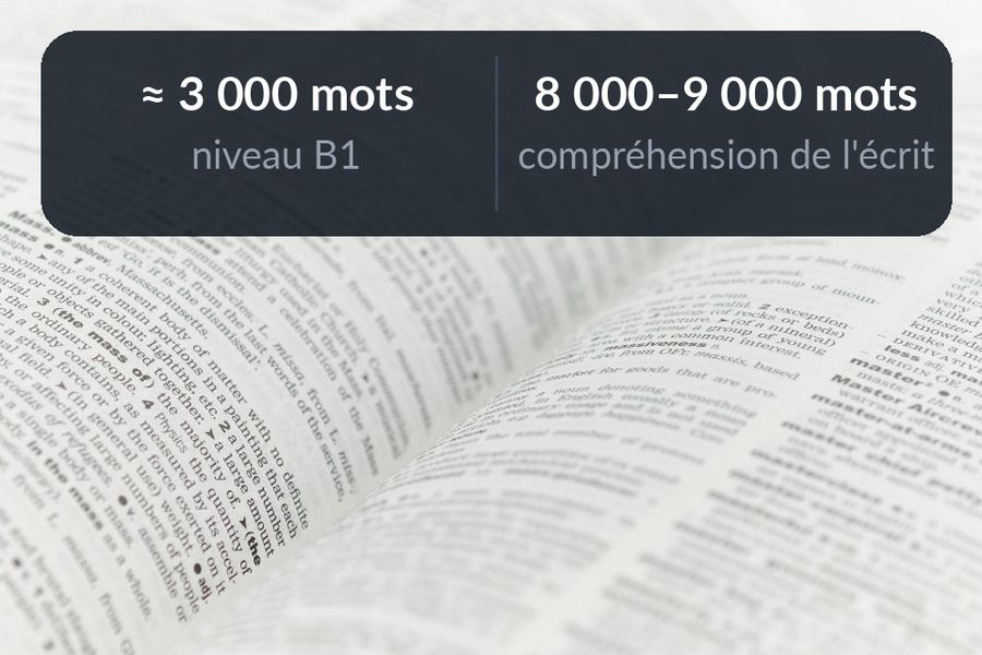 Un dictionnaire ouvert, avec « ≈ 3 000 mots, niveau B1 » et « 8 000–9 000 mots, compréhension de l'écrit » écrits dans le flou au-dessus des pages
