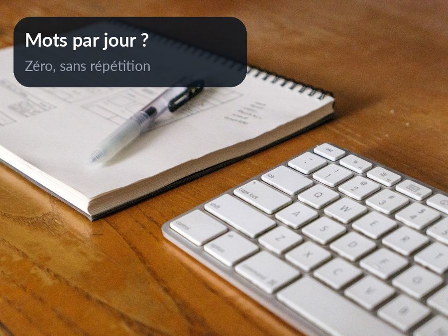 Sur la photo du carnet vierge, un encart répond « zéro, sans répétition » à la question du nombre de mots par jour