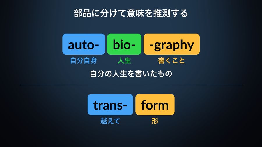 Coloured blocks cutting autobiography into auto- (自分自身) + bio- (人生) + -graphy (書くこと) and transform into trans- (越えて) + form (形)