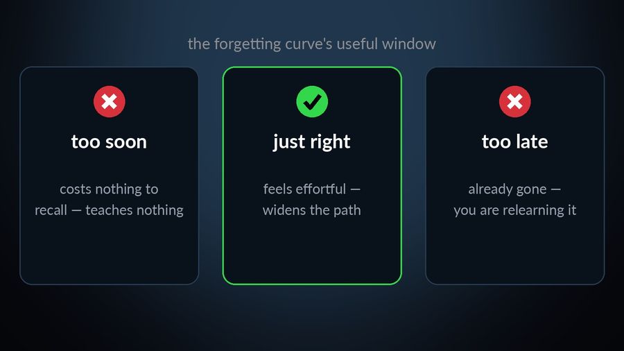 Three review timings: too soon costs nothing to recall and teaches nothing, just right feels effortful and widens the path, too late and the word is already gone