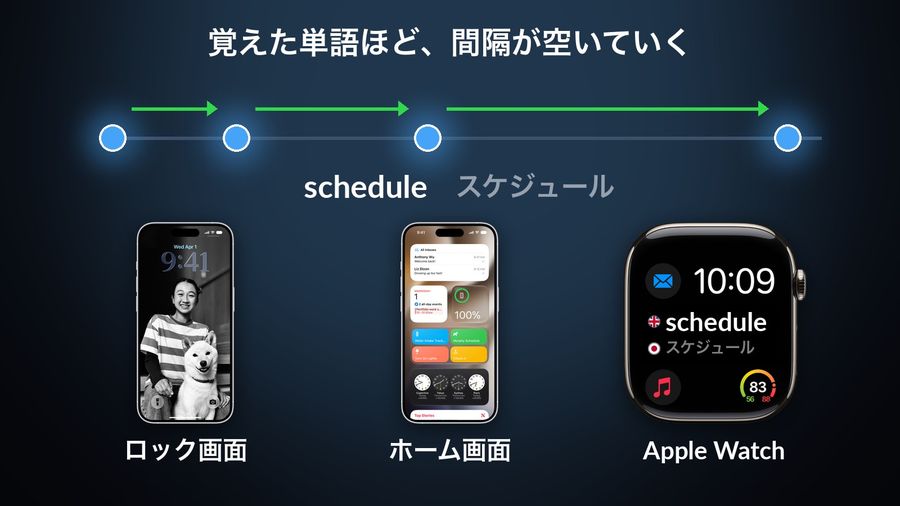 The word 'schedule / スケジュール' coming back along a timeline with growing gaps, titled 覚えた単語ほど、間隔が空いていく (the better you know a word, the longer the gap), above Apple's Lock Screen and Home Screen renders and an Apple Watch face carrying the app's complication with schedule and スケジュール