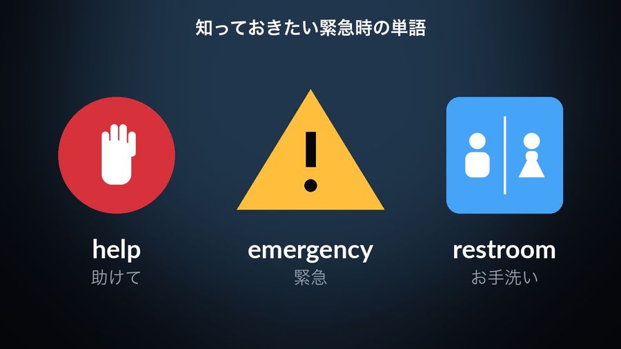 help (助けて) as a raised hand on a red disc, emergency (緊急) as a warning triangle, restroom (お手洗い) as the blue two-figure sign