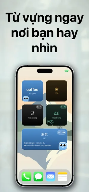 Màn hình chính iPhone với các widget từ vựng bằng tiếng Anh coffee, tiếng Trung 家, tiếng Hàn 달/dal, và tiếng Trung 朋友 với câu ví dụ