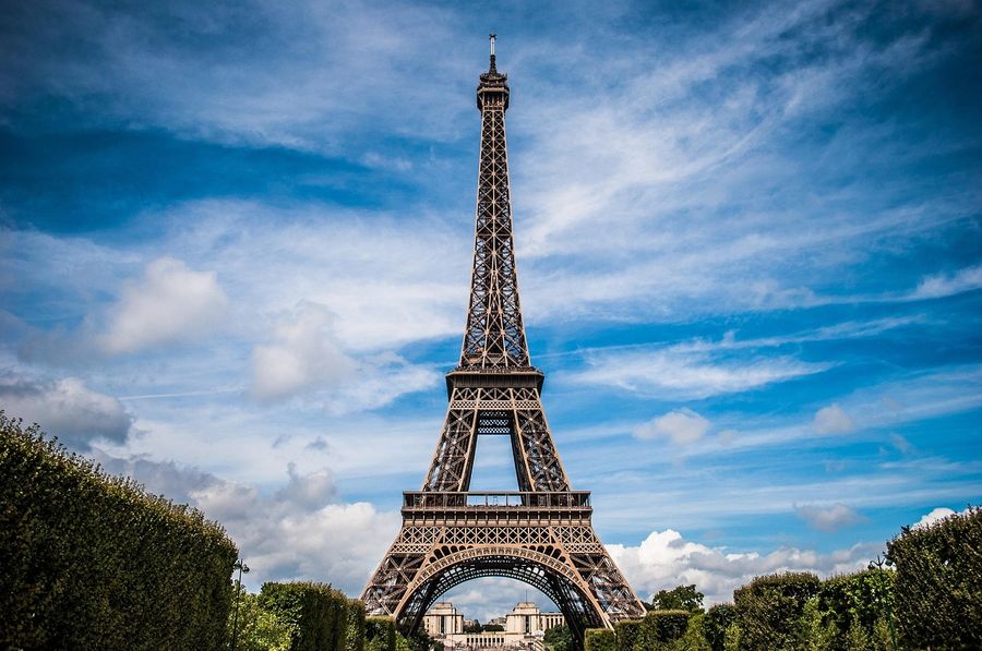 The Eiffel Tower rising above Paris