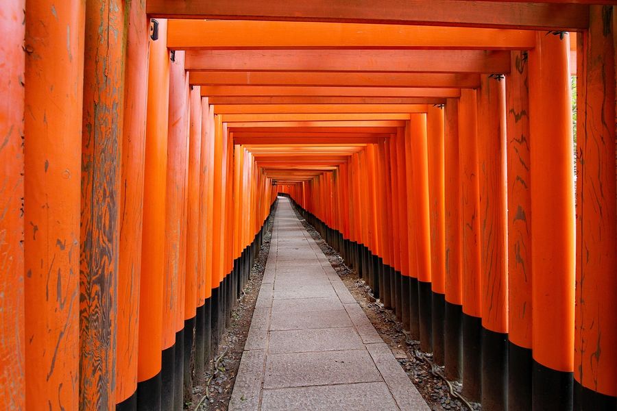A path through the red torii gates of Fushimi Inari Shrine in Kyoto