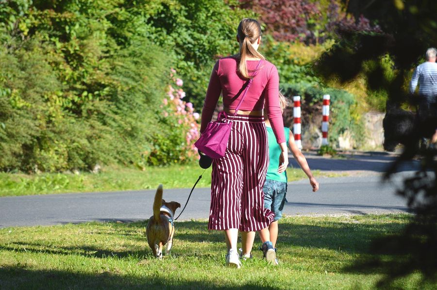A woman walking a dog in a park