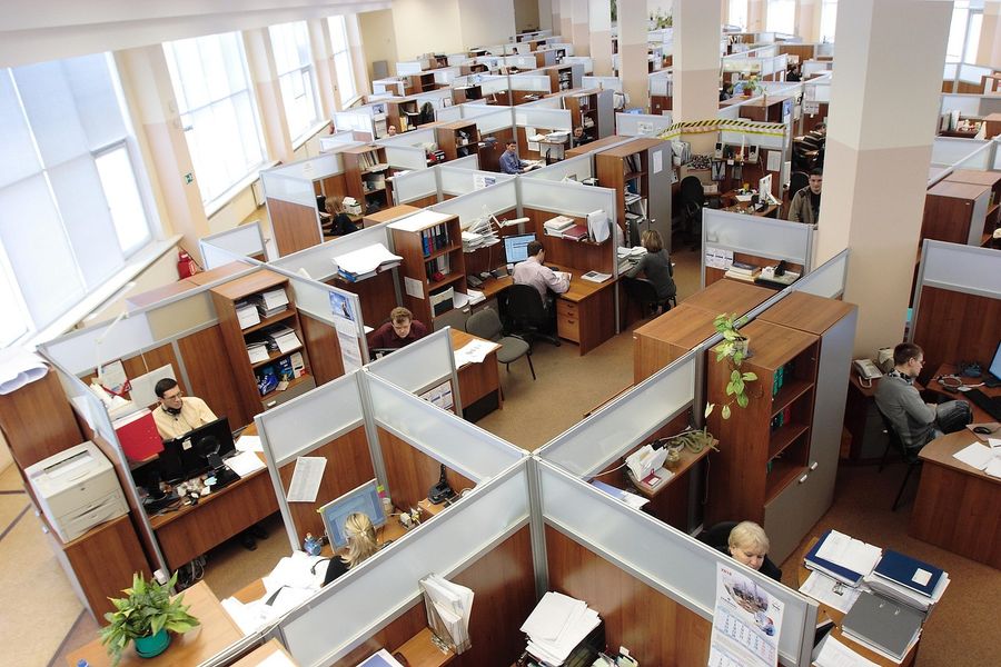 An open-plan office with rows of desks seen from above
